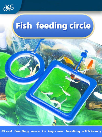 Fish feeding circle - Acex