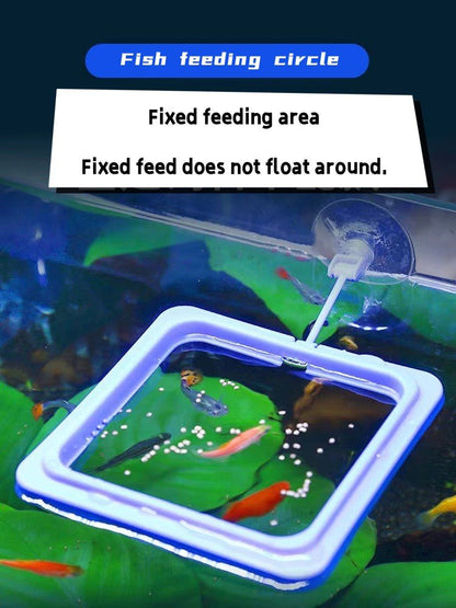 Fish feeding circle - Acex